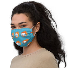 Load image into Gallery viewer, Premium Fibo ADULT face mask
